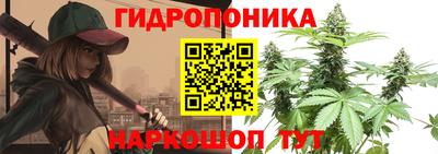 jwh Будённовск