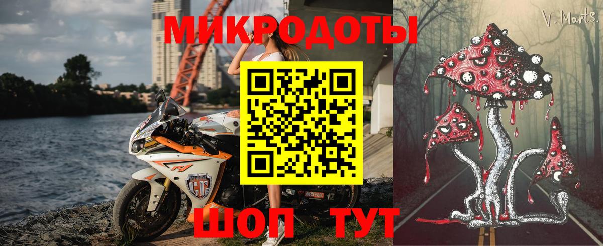 Галлюциногенные грибы Psilocybine cubensis  Вход с VPN  Галлюциногенные грибы Cubensis  Сосновый Бор 